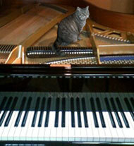 猫onピアノ03w190.jpg